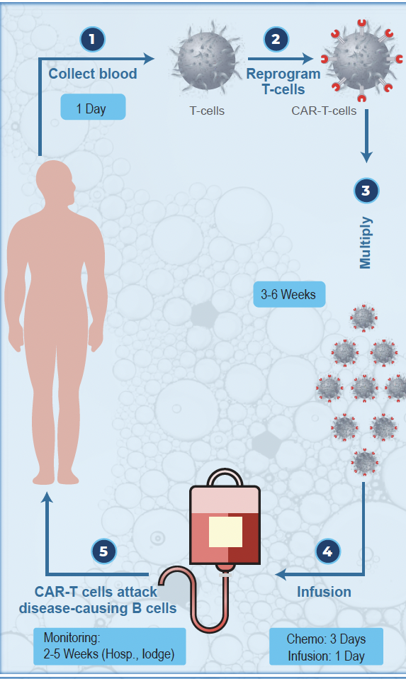 Diagram of CAR-T cell therapy: collect blood, reprogram T-cells into CAR-T, multiply and infuse, then monitor for weeks.